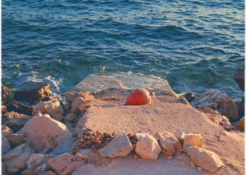 Bizarne scene na obali: Mještani ogorčeni, pogledajte čime je netko zagradio 'privatnu' plažu