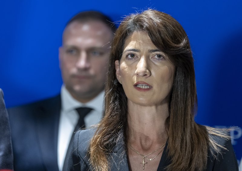 HDZ BiH iz Washingtona: Vrijeme je da prijeđemo s dogovora na provedbu Južne plinske interkonekcije