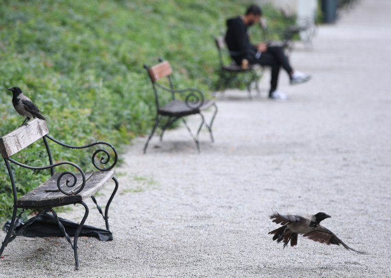 Virus Zapadnog Nila stigao u Zagreb, stručnjaci upozoravaju: 'Vrijeme je da se utvrdi koliko je raširen'