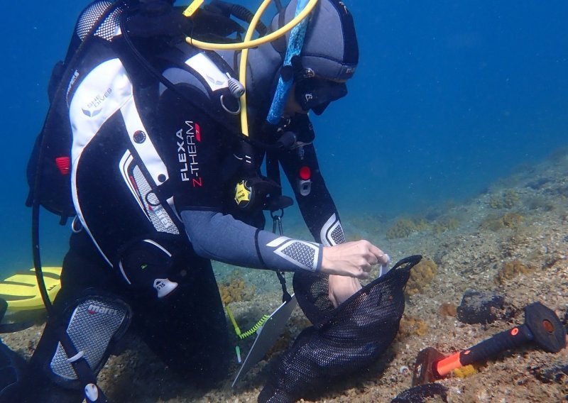 Ruđerovci s roniocima pratili stanje morskih šuma i makroalgi
