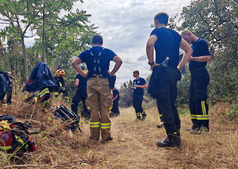 Deliblatska peščara nakon požara: Uništene šume, stradale pčele, oporavak najmanje 20 godina