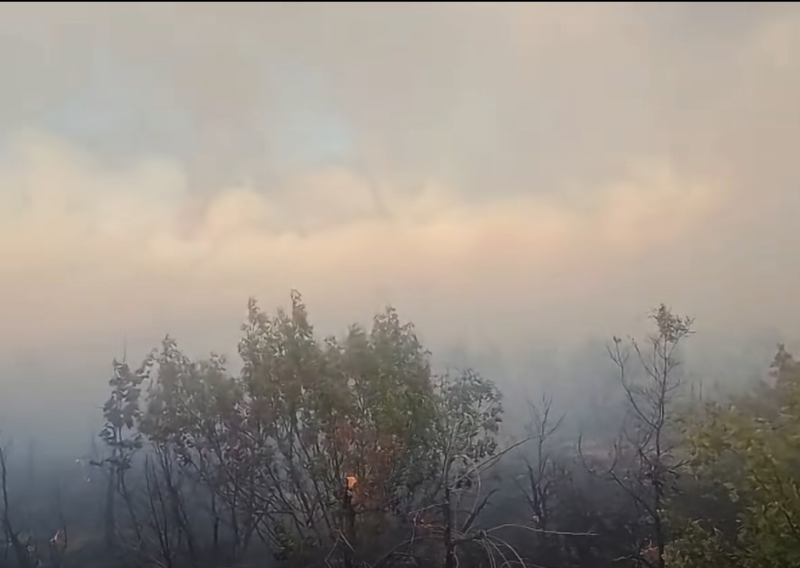 Više požara u Dalmaciji: Dignuta četiri Canadaira i dva Air Tractora