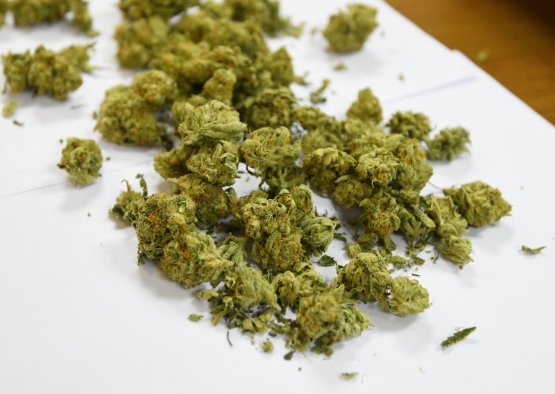 Policija pokraj Dubrovnika pronašla laboratorij i kilogram marihuane