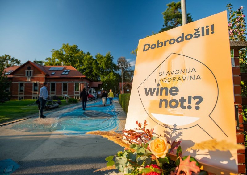 Vinskim igrama u Virovitici kreće festival zbog kojeg se isplati potegnuti do Slavonije i Podravine