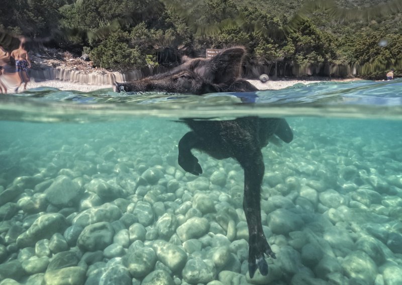 Na ovom malom grčkom otoku turiste dočekuje prizor koji gotovo nitko ne očekuje