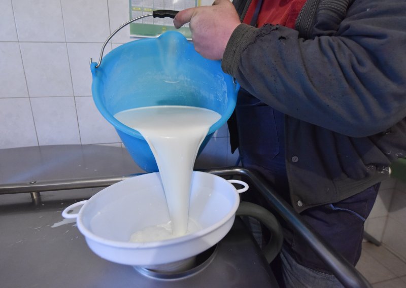 Proizvodnja mlijeka na OPG-ovima pala 4,5 posto, ali otkup snažno porastao