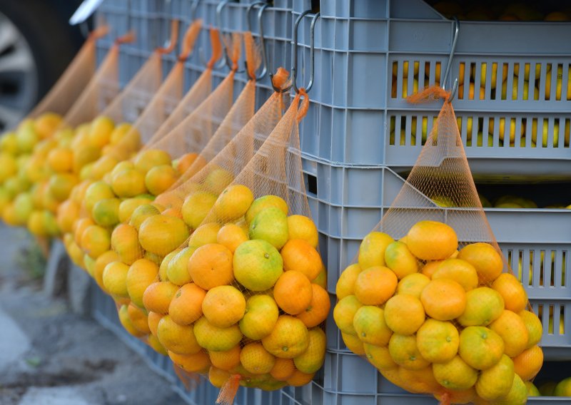 Neretvanske mandarine ove godine skuplje: Urod manji, a proizvođače muči i veliki neprijatelj