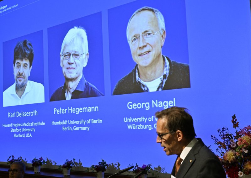 Dodijeljen Nobel za medicinu: Njihovo otkriće moglo bi promijeniti način liječenja