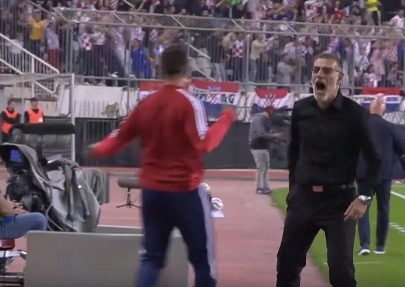 Potpuno ludilo: Pogledajte kako je Bilić reagirao nakon gola Španjolskoj