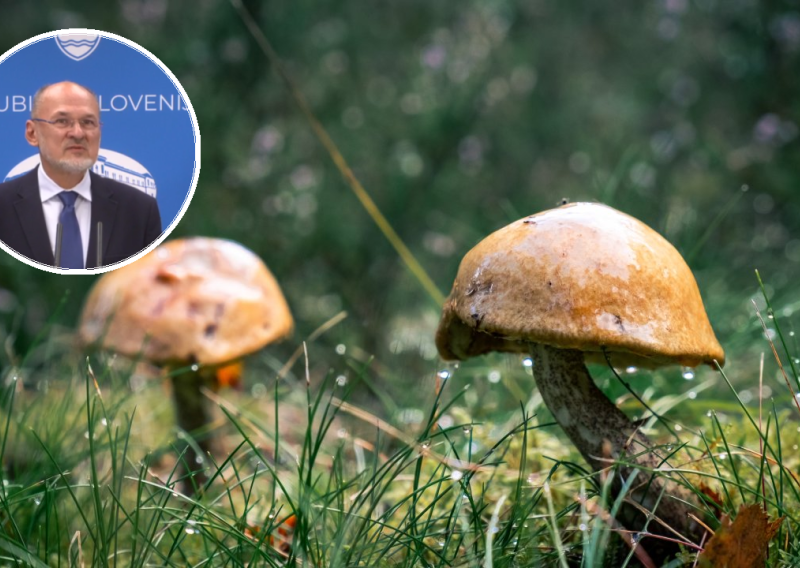 Bivši slovenski koronaguru se polomio: 'Ja sam Iron Man'