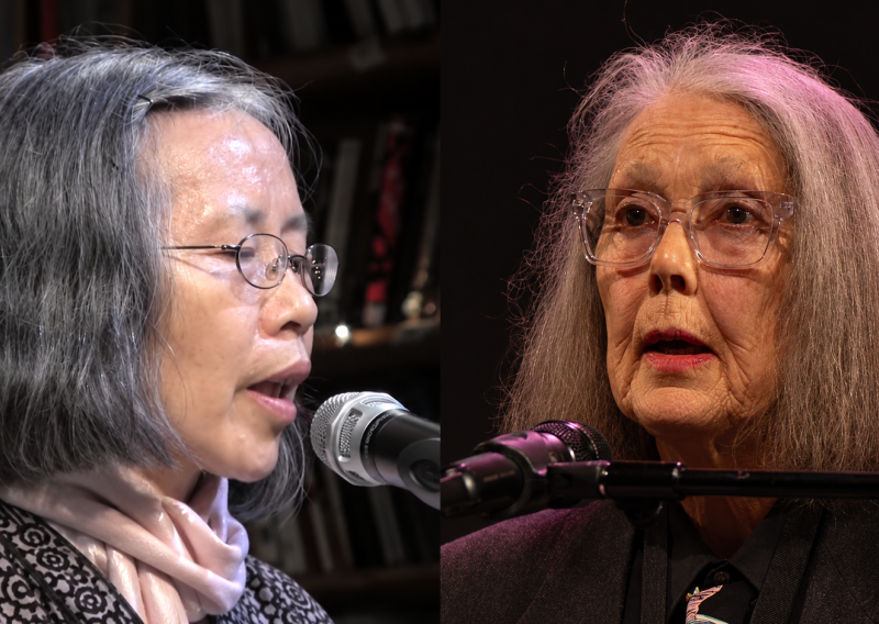 Uoči dodjele Nobela kladionice imaju dvije favoritkinje: Tko su Can Xue i Anne Carson?