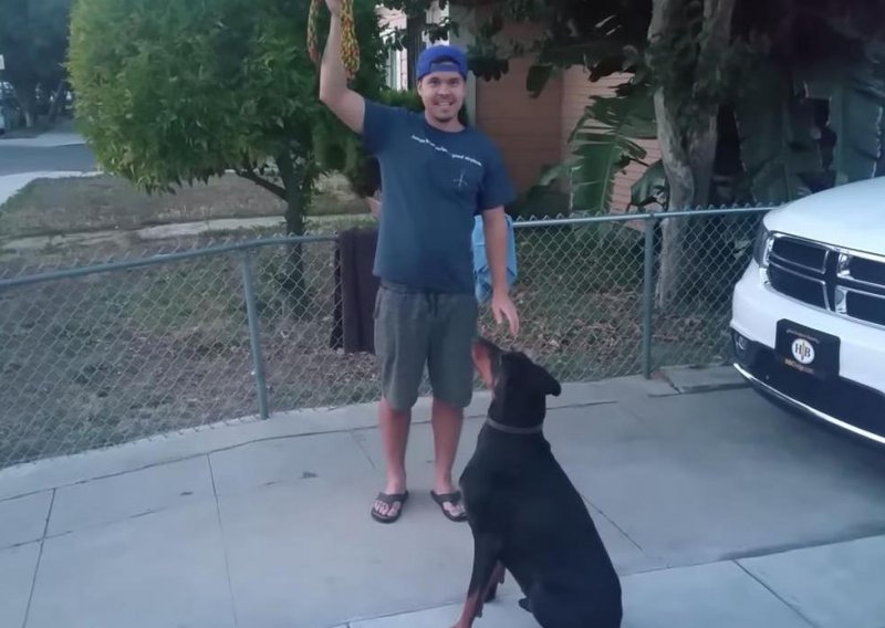 Evo kako poučiti psa skakanju u naručje