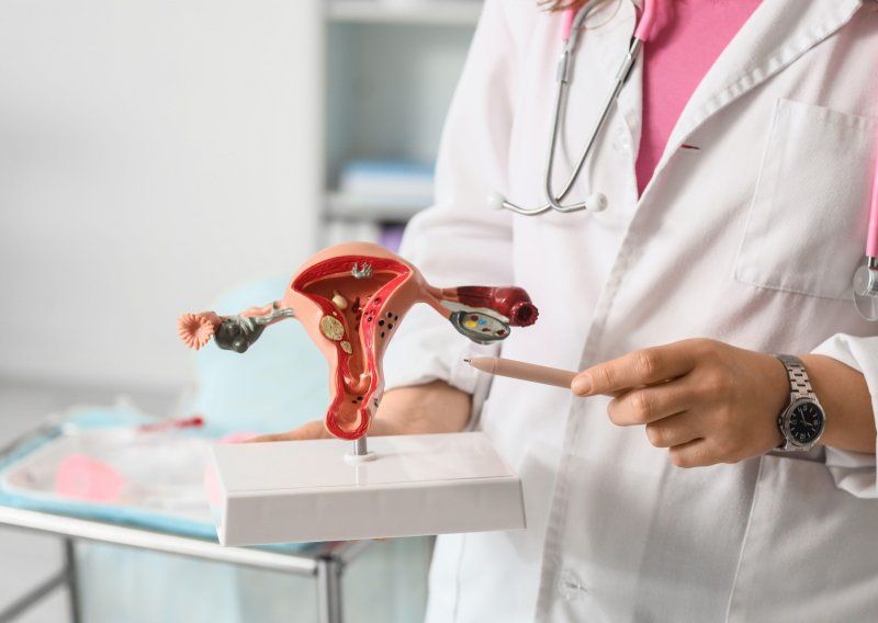 Jajnici nakon menopauze nisu neaktivni, a njihovo starenje nosi skrivene rizike