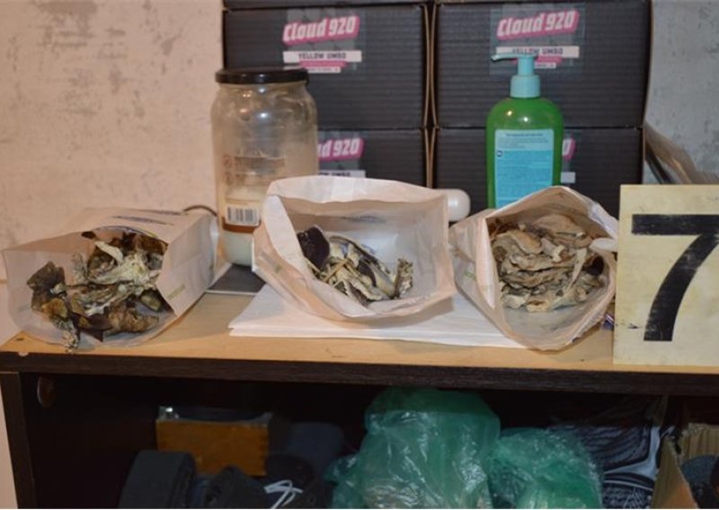 FOTO Pao diler i uzgajivač halucinogenih gljiva: Krao struju za ilegalni laboratorij
