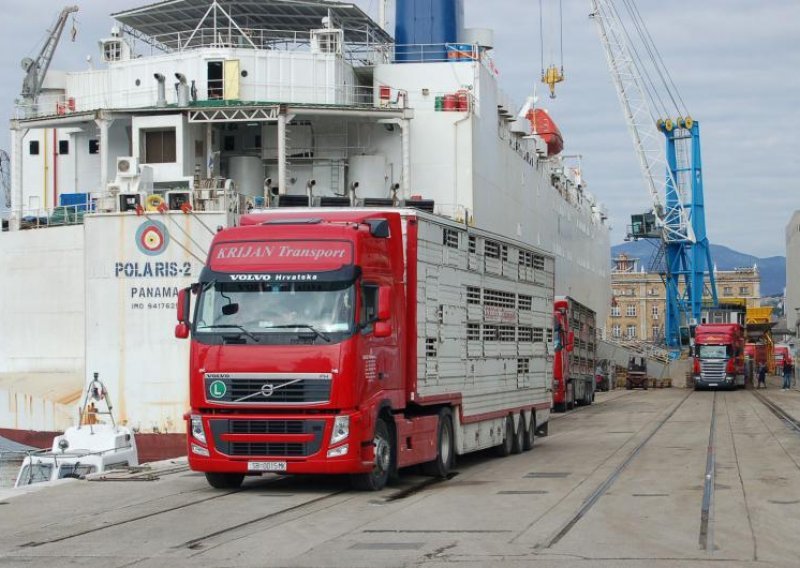 Brod s 1.700 krava nakon tri dana konačno krenuo za Libiju