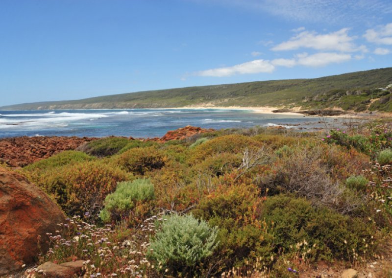 Na obali Australije nađeni mogući ostaci nestalog Boeinga!