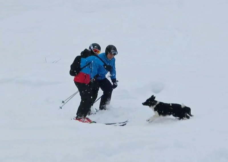Pametni pas žica skijaše da se igraju s njim