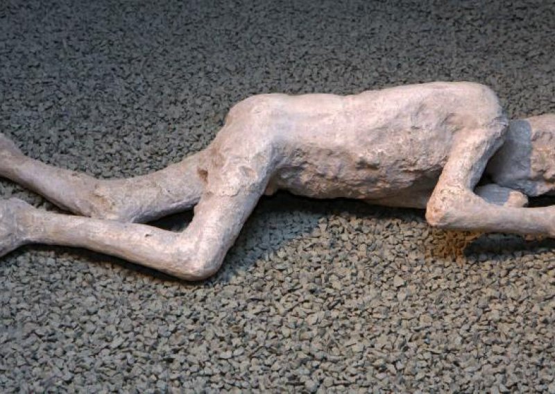 'Pompeii - Life in the Shadow of Vesuvius'