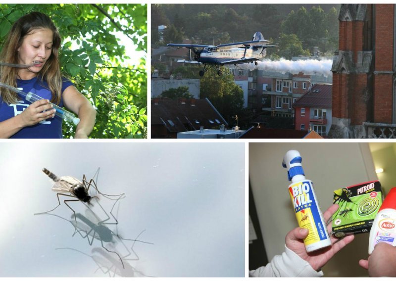 Evo kako će Osijek pobijediti komarce u ratu koji traje 128 godina