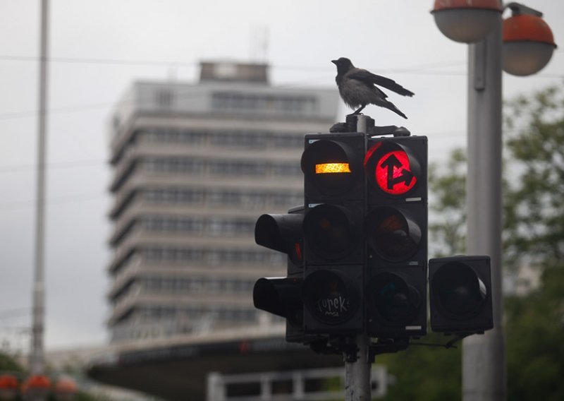 Ova vlast naprosto ne želi strane investitore