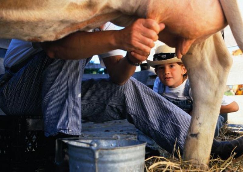 Proizvođači traže veću cijenu mlijeka