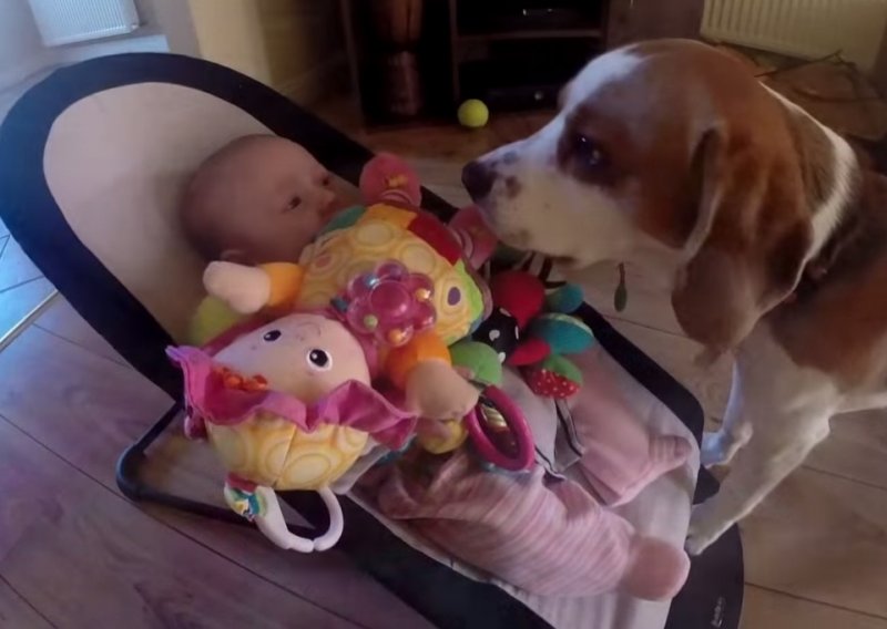 Pas utješio uplakanu bebu gomilom igračka