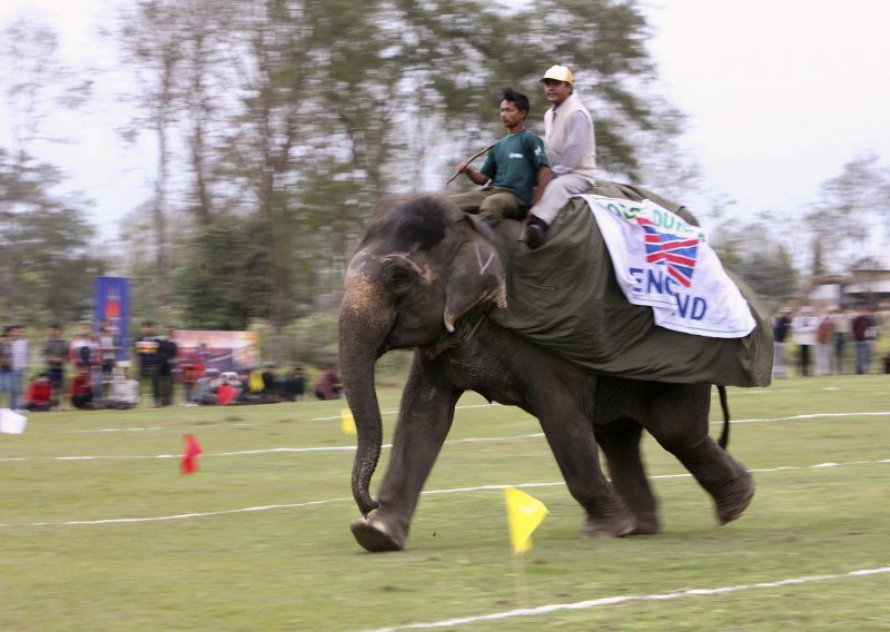 U Nepalu održane utrke slonova