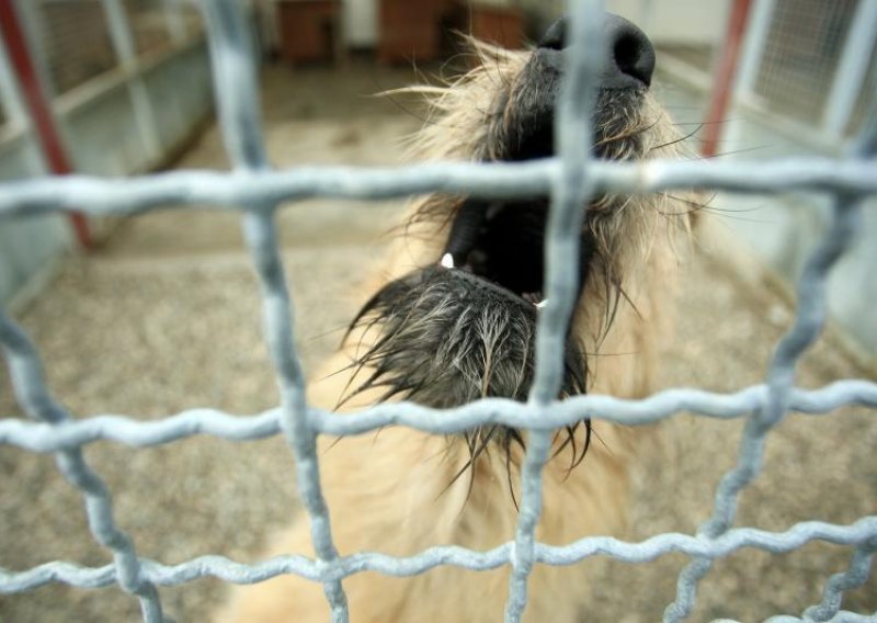 Veterinarska inspekcija ponovno blokirala Dumovec