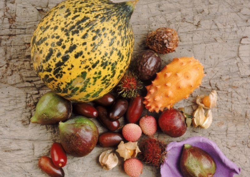 Otkrijte čari egzotičnog voća i povrća