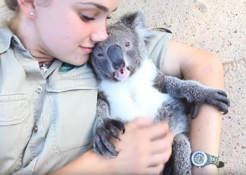 Koalica jedva čeka sljedeće češkanje trbuha