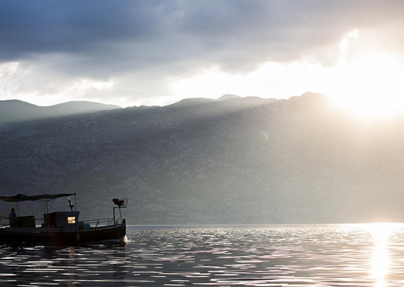 Jedan dan u fotografijama Saše Ćetkovića