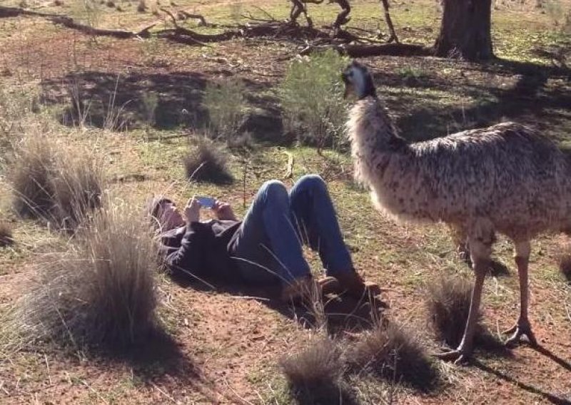 Nema šale s napaljenim emuom