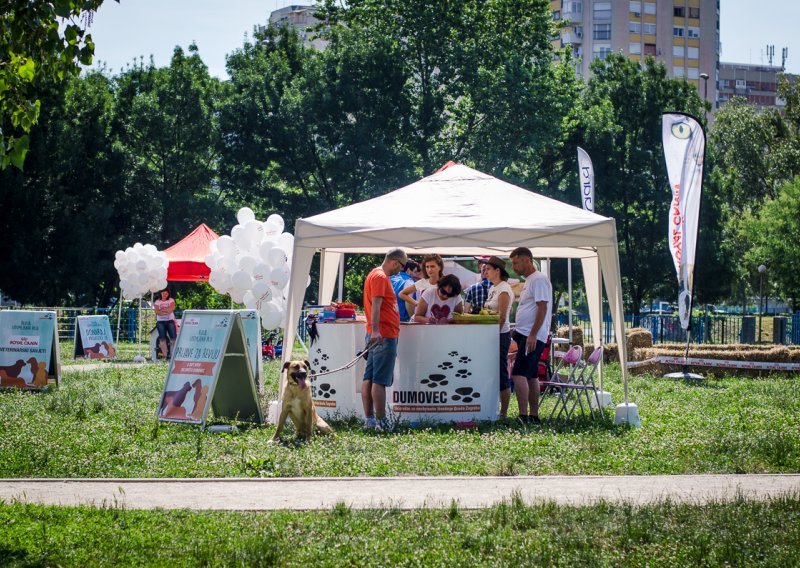 U zagrebačkim Utrinama održana 'Revija udomljenih pasa'