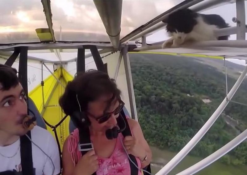 Lice pilota koji je ugledao mačku usred leta je - neprocjenjivo