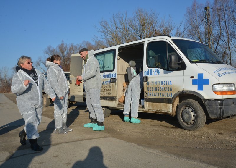 Zbog ptičje grupe eutanizirano 990 komada peradi