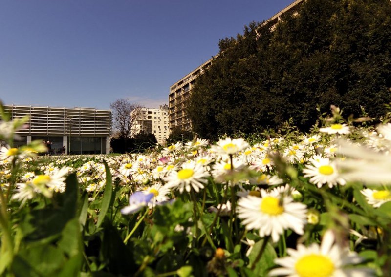 Zagrebački cvjetni prizori ostavljaju bez daha