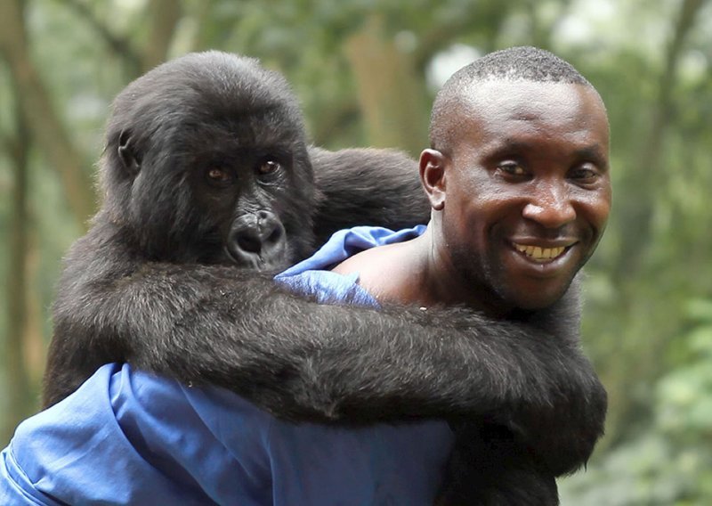 Britanski film 'Virunga' odnio dvije nagrade sa ZagrebDoxa