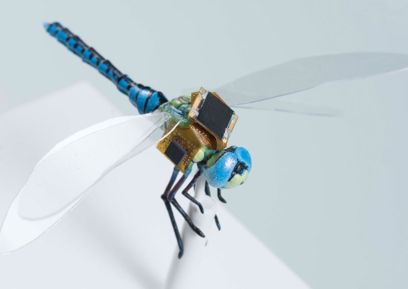 Insekti kao daljinski kontrolirani dronovi? To uopće nije loša ideja