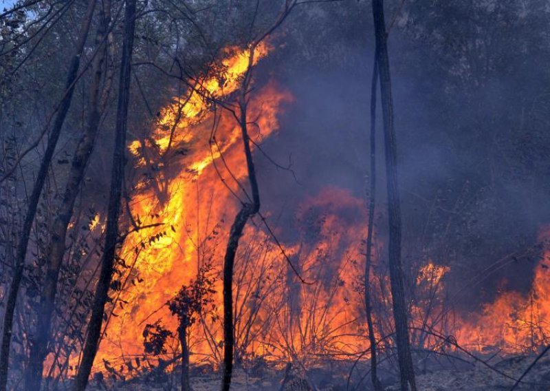 Croatia to send Canadair planes to help fight wildfires in Portugal