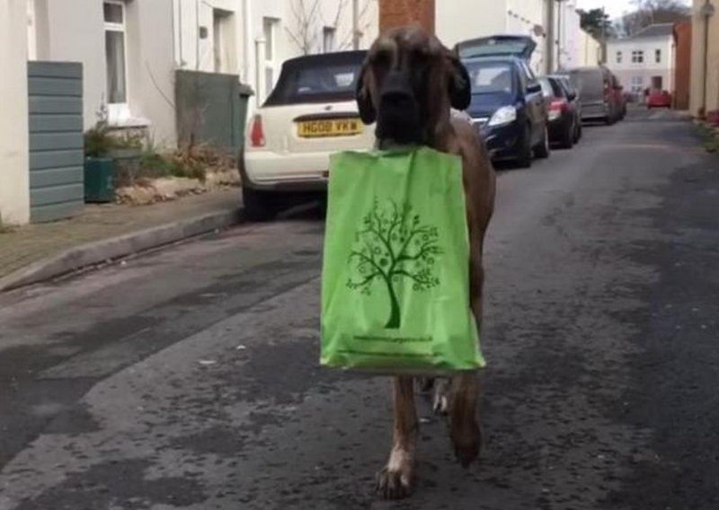 I mi bismo da nam doga ovako pomogne u čišćenju garaže