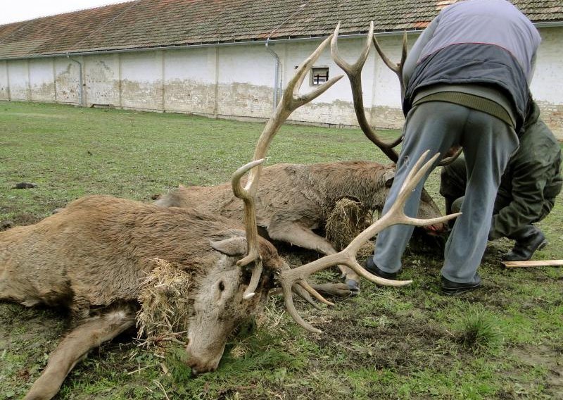 Blagajnik lovačkog društva prisvojio 38,5 tisuća kuna