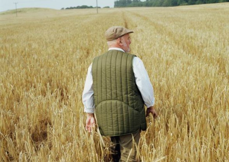 Seljaci traže za pšenicu najviše u Europi