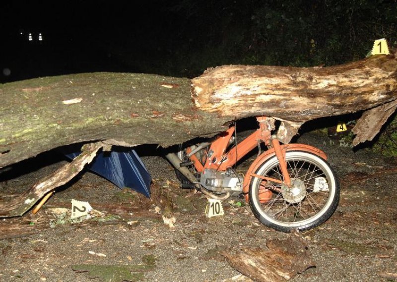 Ostavio moped i drogu u šumi kod Buzeta