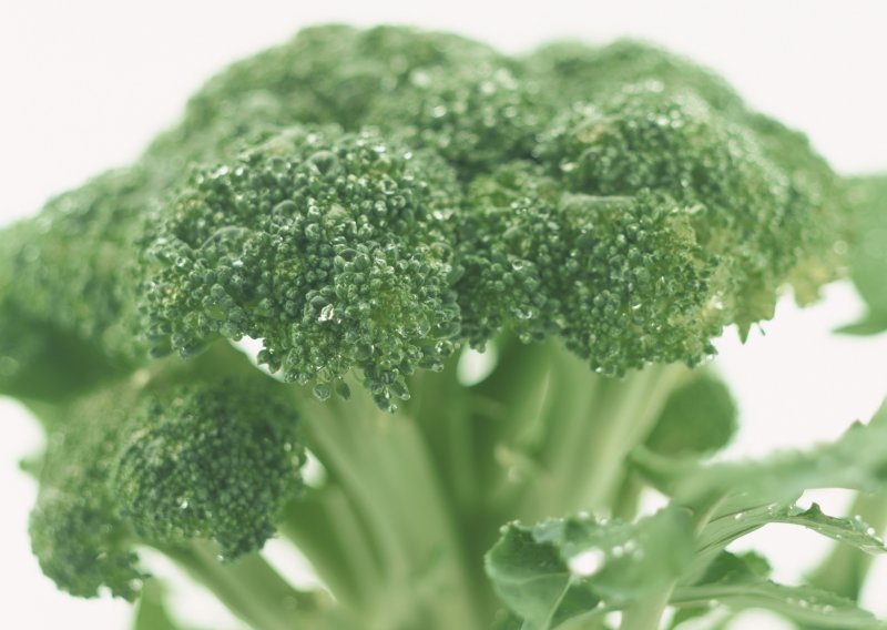 Brokula sprečava širenje raka dojke