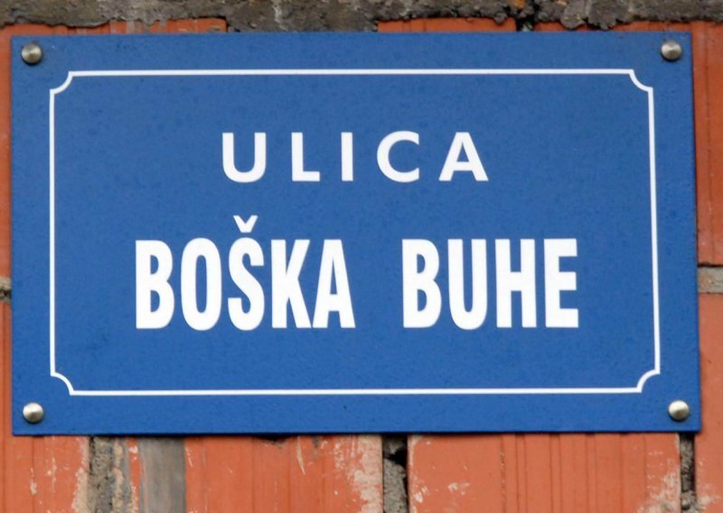 Mirkovci bez ulica Vuka Karadžića i Boška Buhe