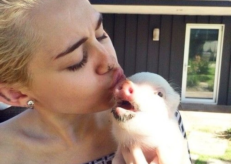 Što kažete na ovog Mileyinog ljubimca?