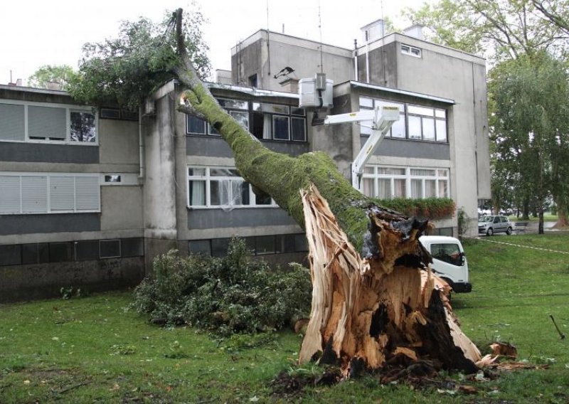 Oluja u Karlovcu donijela tuču i rušila stabla