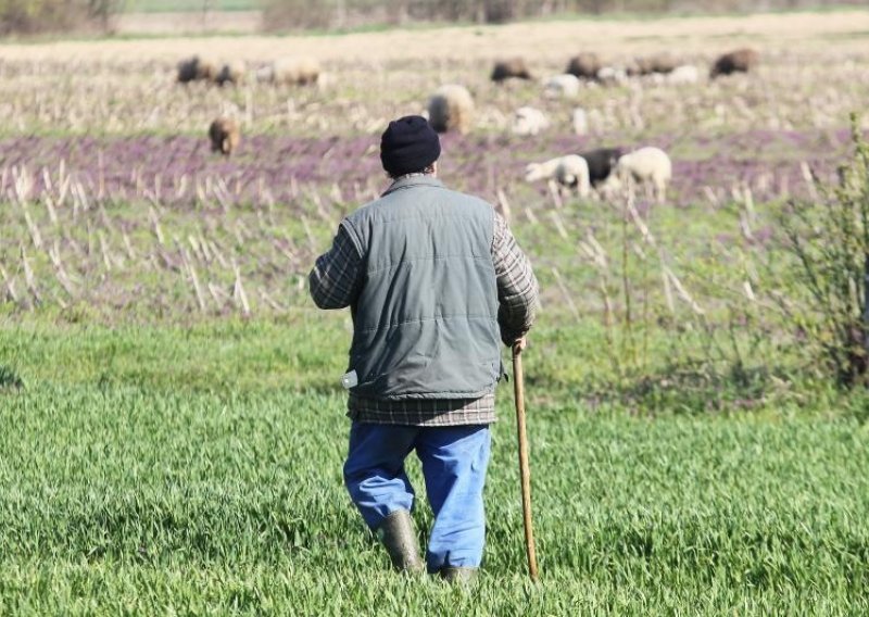 Ličani od pastira napravili roba, iskorištavali ga i tukli