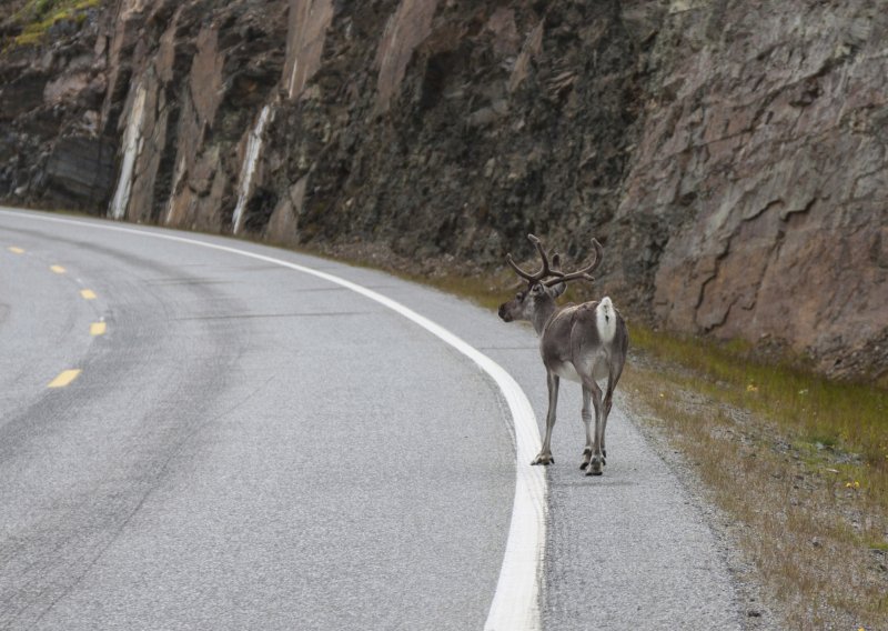 Suočeni sa sobom Norvežani zatvaraju autocestu