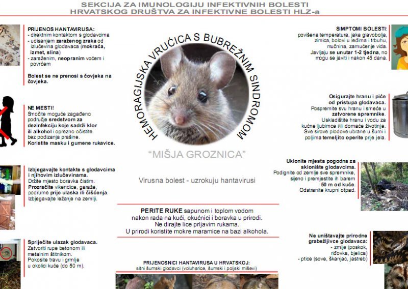 U Sloveniji ove godine sve više slučajeva mišje groznice